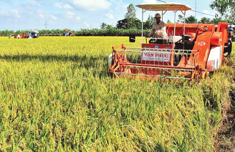 Khơi thông tín dụng phục vụ sản xuất nông nghiệp