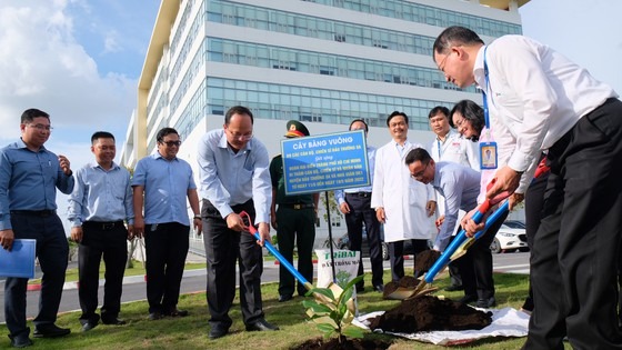 TPHCM trồng cây bàng vuông của quân và dân huyện đảo Trường Sa gửi tặng ảnh 2